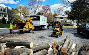 Best Stump Grinding and Removal  in Cottage Grove, WI