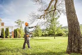 Best Lawn Grading and Leveling  in Cottage Grove, WI