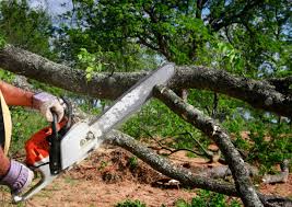 Best Aeration Services  in Cottage Grove, WI