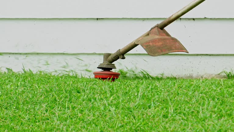 Best Lawn Irrigation Installation and Maintenance  in Cottage Grove, WI