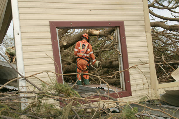 Reliable Cottage Grove, WI Tree Services Solutions
