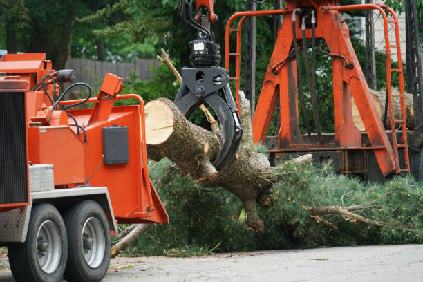 Best Lawn Drainage Solutions  in Cottage Grove, WI