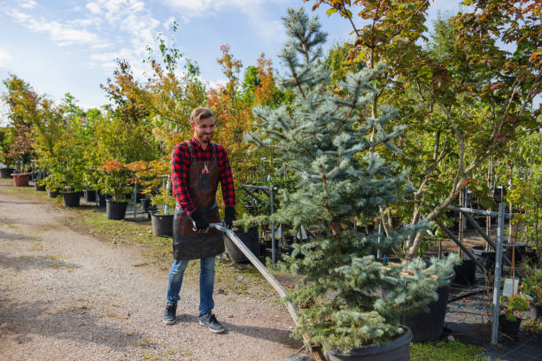Best Lot and Land Clearing  in Cottage Grove, WI
